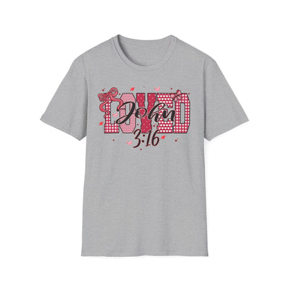 David 3:16 T-Shirt — Christian Faith Graphic Tee (Pink Plaid & Script)
