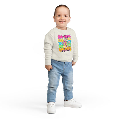 Toddler Sweatshirt